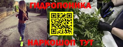 спиды Пугачёв